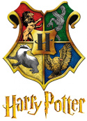 T-Shirt Harry Potter (158/13Y)