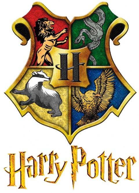 T-Shirt Harry Potter (158/13Y)