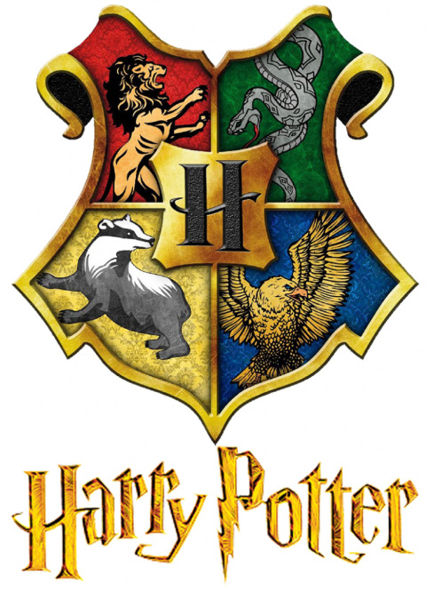 Bluzka z długim rękawem Harry Potter (164/14Y) Bluzka z długim rękawem Harry Potter (164/14Y)