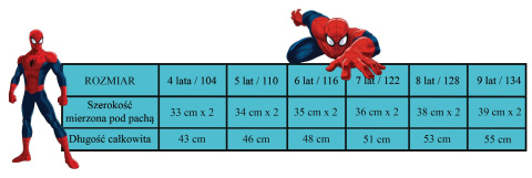 T-Shirt Spider-Man (116/6Y)