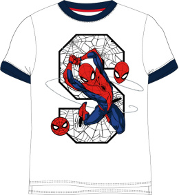 T-Shirt Spider-Man (122 / 7Y)