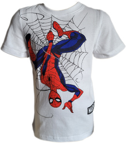 T-Shirt Spider-Man (122/7Y)