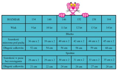 Piżama z krótkim rękawem Pink Panther (134/9Y) Piżama z krótkim rękawem Pink Panther (134/9Y)