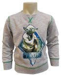 Bluza Star Wars (104 / 4Y)